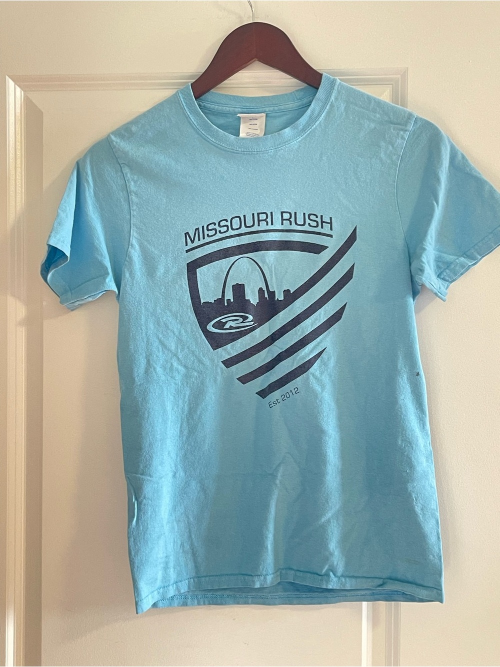 Vintage Washed Powder Blue Graphic Tee